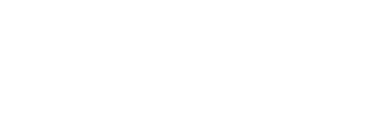 nationaal comite 4 en 5 mei