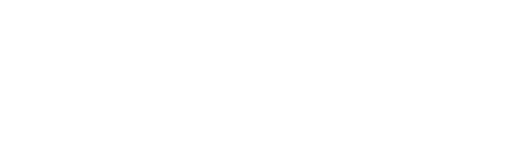 co2 prestatieladder-white